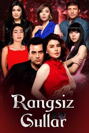 Rangsiz gullar 27-28 qism milliy serial